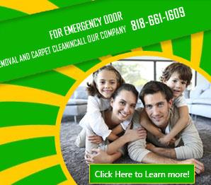Upholstery Cleaning - Carpet Cleaning Sunland, CA