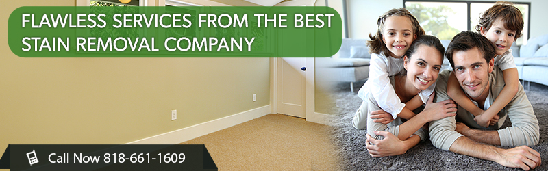 About Carpet Cleaning Services