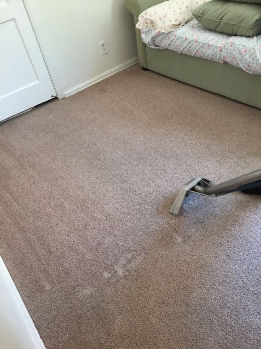 Best Carpet Cleaning Techniques